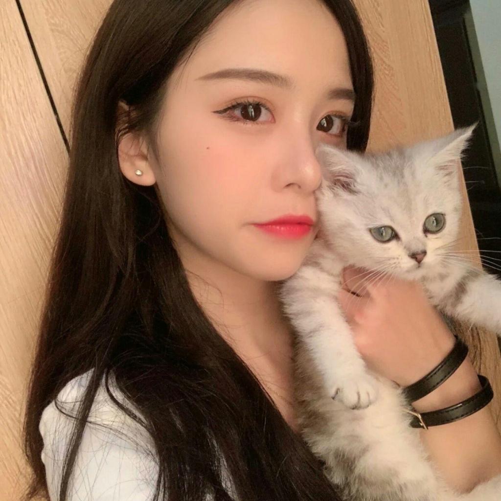 上海麻将手机app下载截图