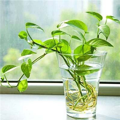 b体育必一官方下载入口